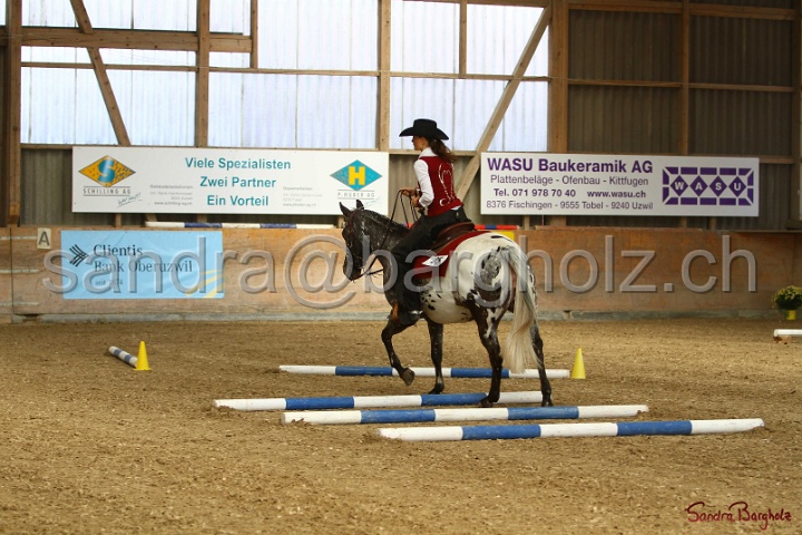 26-ApHC GT_008.jpg